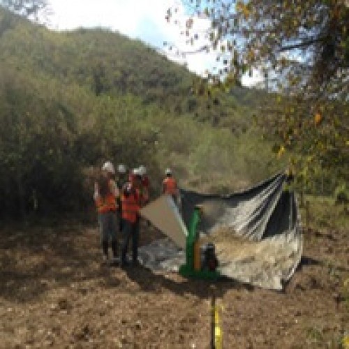 Organizing Tree Nursery And Compost Program