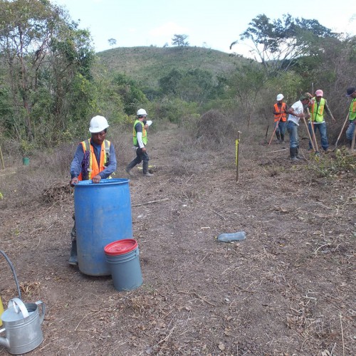 Planting Trees Along The Riviera Of Jicaro River