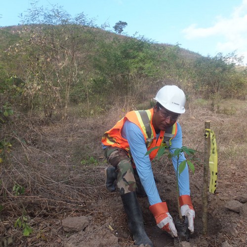 Planting Trees Along The Riviera Of Jicaro River