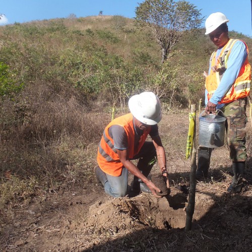 Planting Trees Along The Riviera Of Jicaro River