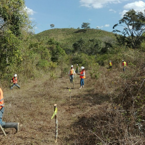 Planting Trees Along The Riviera Of Jicaro River