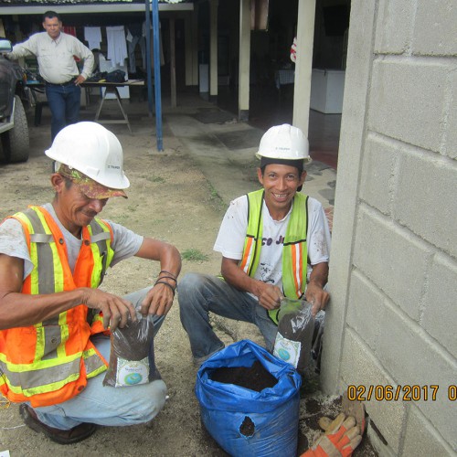 Compost Preparation Process