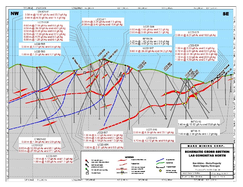 Cross Section