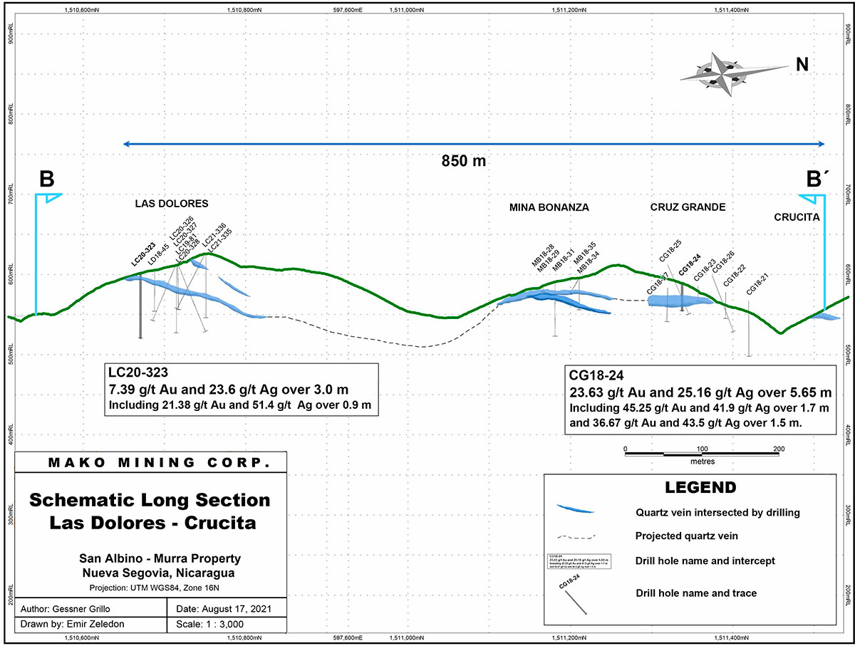 Schematic Long Section - Las Dolores Crucita